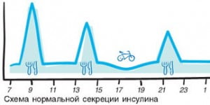 нормальная секреция инсулина