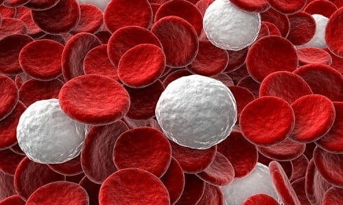 На развитие воспалительных процессов указывает увеличенное содержание лейкоцитов в крови