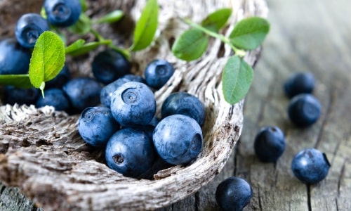 Черники плоды - это медицинское средство, которое основано на натуральных компонентах