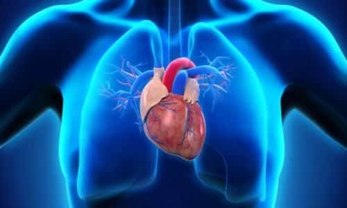 Активное вещество Идринола способствует улучшению сократительной функции миокарда сердца