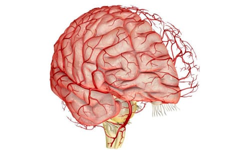 Лекарство способствует расширению мелких артериальных сосудов головного мозга