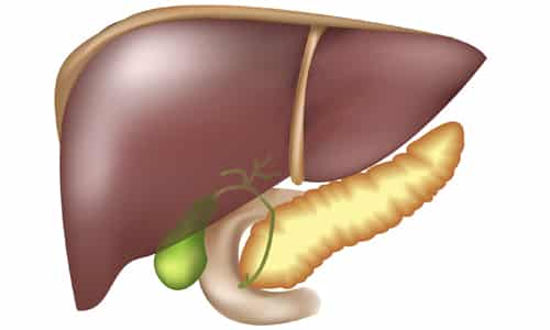 Данное средство способствует восстановлению нормальной функции печени