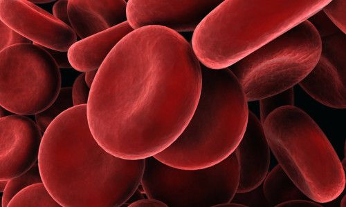 Метформин имеет положительное воздействие на баланс липидов крови