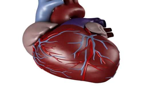 Во время лечения препаратом Хайнемокс возможно проявление нарушения работы сердца