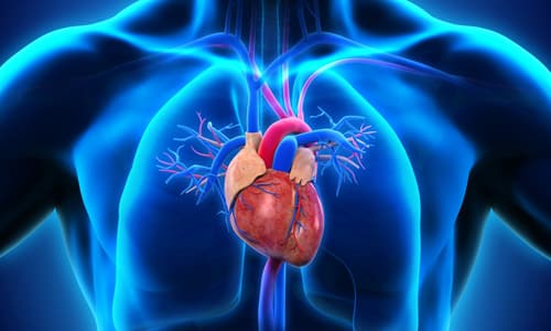 Ретаболил повышает нагрузку на сердце