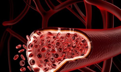 Недостаток железа снижает концентрацию гемоглобина в крови