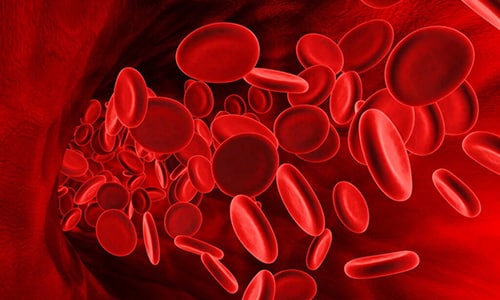 Концентрация Ретаболила в плазме крови достигает максимума через сутки