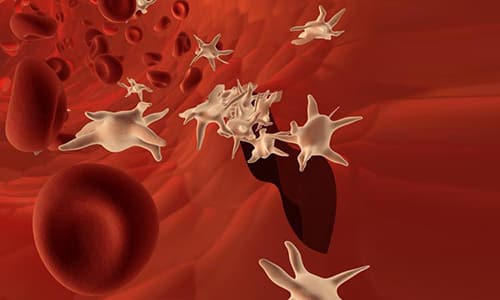 Из-за приема Гипотиазида может уменьшится содержание тромбоцитов в крови