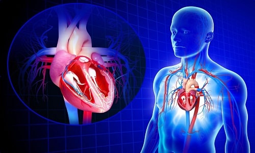 При приеме лекарственного средства могут развиться проблемы с сердечно-сосудистой системой