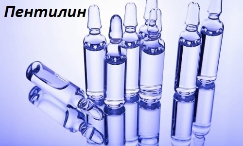 Лекарственная жидкость Пентилин поступает в продажу в ампулах объемом 5 мл