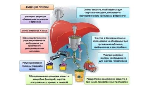 При печеночной недостаточности тяжелой степени прием лекарства Метфогамма строго запрещен