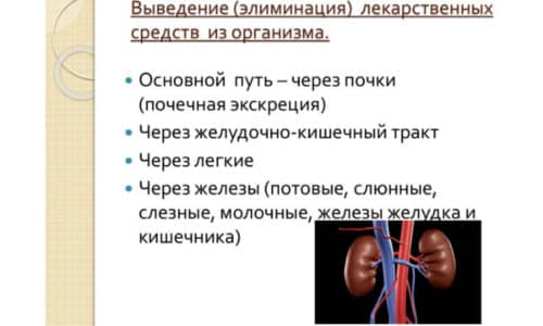 Действующее вещество после попадания в организм не трансформируется, а полностью покидает организм за 5-6 часов, выводится через почки вместе с мочой