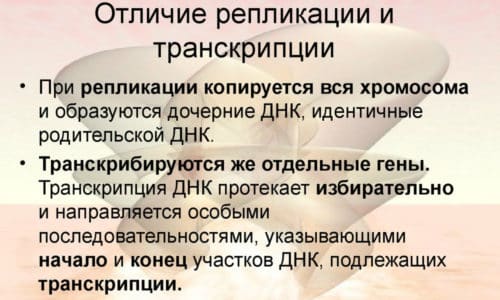 Бактерицидное действие обусловлено угнетением ферментативной активности внутриклеточных соединений, участвующих в процессах репликации и транскрипции генного материала