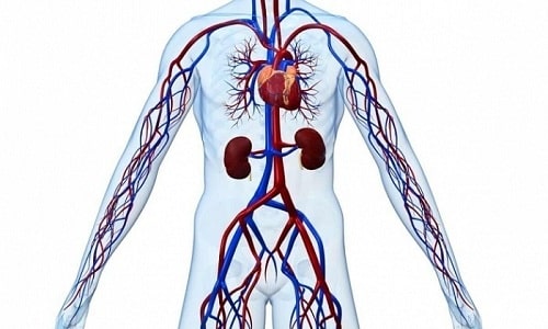 Если калий вводят слишком медленно, возникнут осложнения в работе сердечно-сосудистой системы