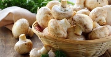 Можно ли есть грибы при сахарном диабете